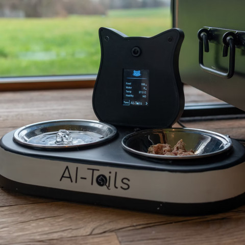 Станція оцінки стану кота: AI Tails